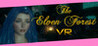 The Elven Forest VR Image