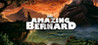The Amazing Bernard Image