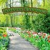 Nature Escapes Image