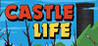 Castle Life Image