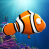 Splashy Oscar - the little clownfish Image