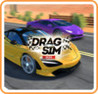 Drag Sim 2020 Image