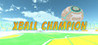 XBall Champion