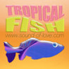 Tropical Fish Touch Image