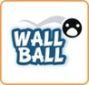 Wall Ball Image