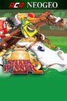 ACA NeoGeo: Stakes Winner 2