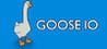 GOOSE.IO Image