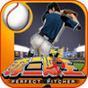Perfect Pitcher Image