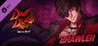 DNF Duel - DLC 2: Brawler Image