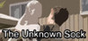 The Unknown Sock | Interactive Comedy Image