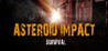 Asteroid Impact Survival Image