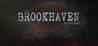 The Brookhaven Experiment Image