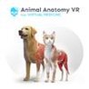 Animal Anatomy VR