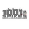 1001 Spikes Image
