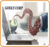 Godly Corp Image