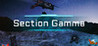 Section Gamma Image