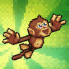 Monkey Swingers Image