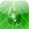 Aqua Forest Image