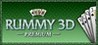 Rummy 3D Premium Image