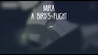 Mira: A Bird's Flight Image