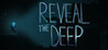 Reveal The Deep Image