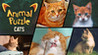 Animal Puzzle Cats Image