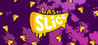 Last Slice Image