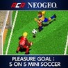 ACA NeoGeo - Pleasure Goal: 5 on 5 Mini Soccer Image