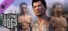 Sleeping Dogs: Gangland Style Pack Image