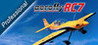 aerofly RC 7 Professional Edition Image
