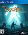 The Bard's Tale IV: Director's Cut
