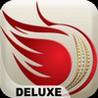 WorldCup Cricket Fever Deluxe Image