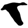 Minimalist Bird Image