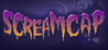 ScreamCap Image
