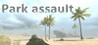 Park assault