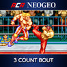 ACA NeoGeo: 3 Count Bout Image