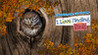 I Love Finding Birds Image