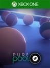 Pure Pool Image