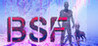 BSF Image