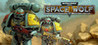 Warhammer 40,000: Space Wolf Image