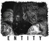 Entity (2019) Image