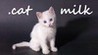 .cat Milk