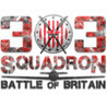303 Squadron: Battle of Britain Image