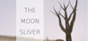 The Moon Sliver Image