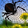 Crush the Spider Puzzle Image
