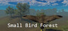 Small Bird Forest Image