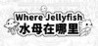 Where Jellyfish Image