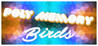 Poly Memory: Birds Image