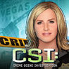 CSI: Hidden Crimes Image