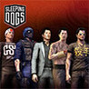 Sleeping Dogs: Dragon Master Pack
